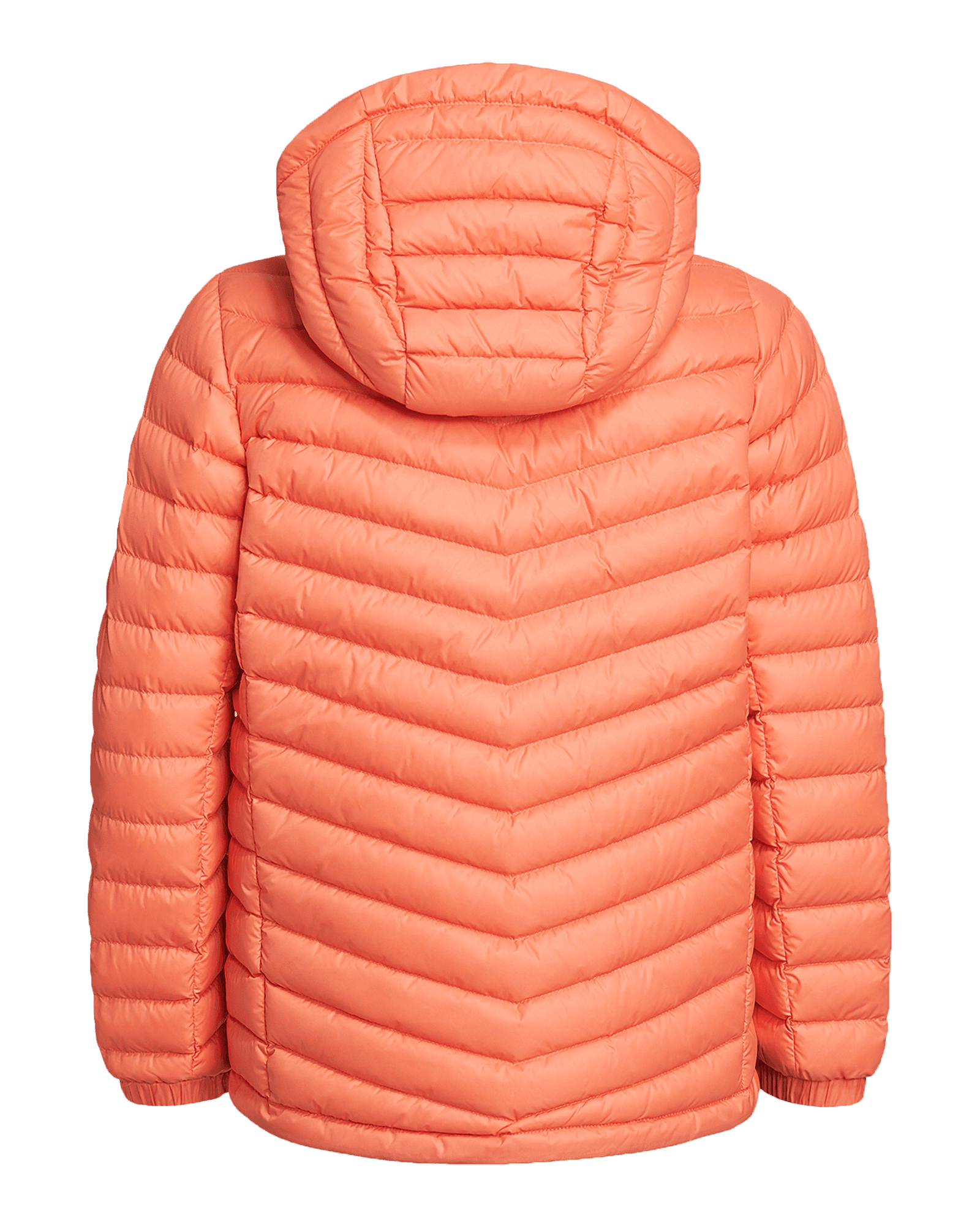 Light Orange