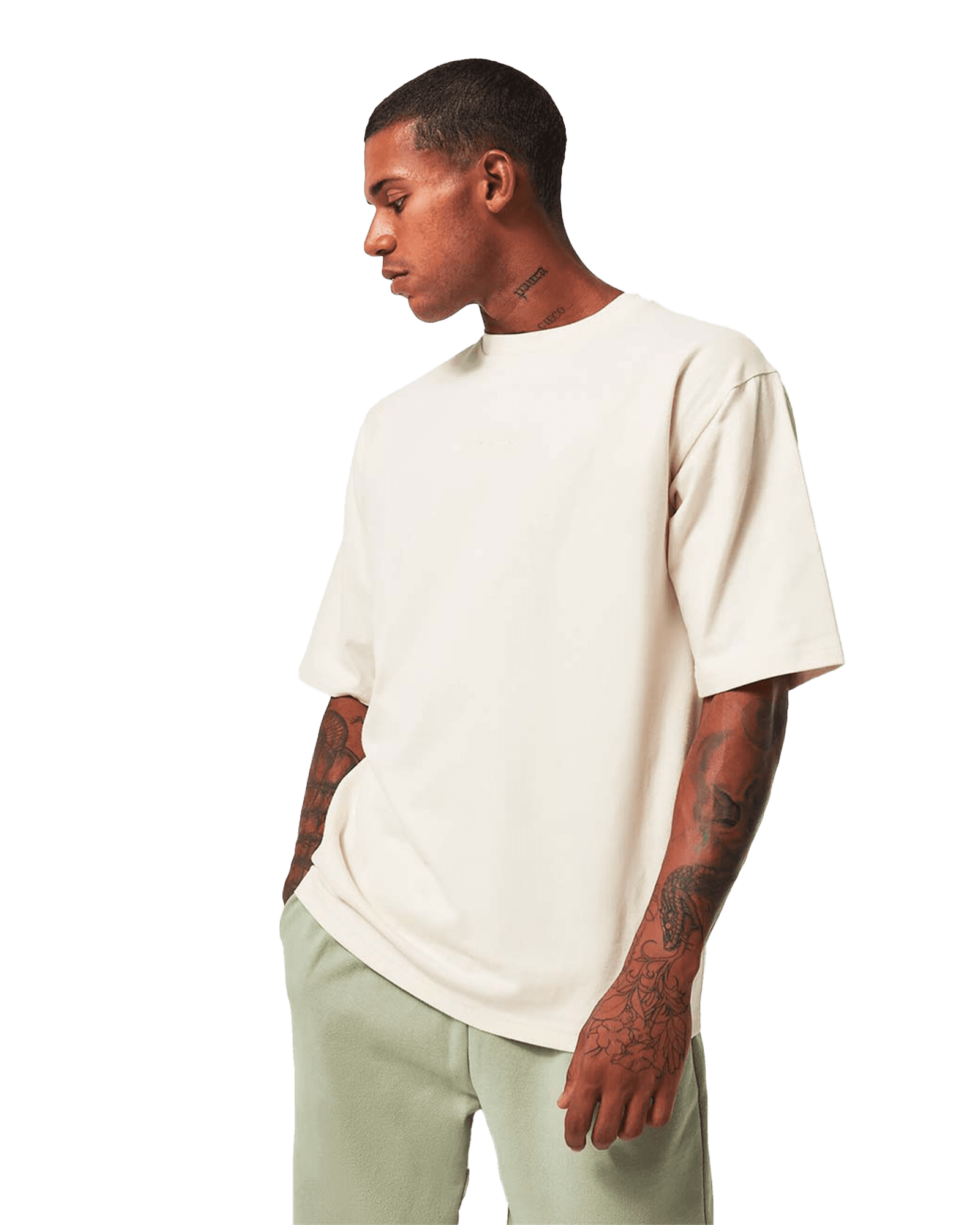 Arctic White