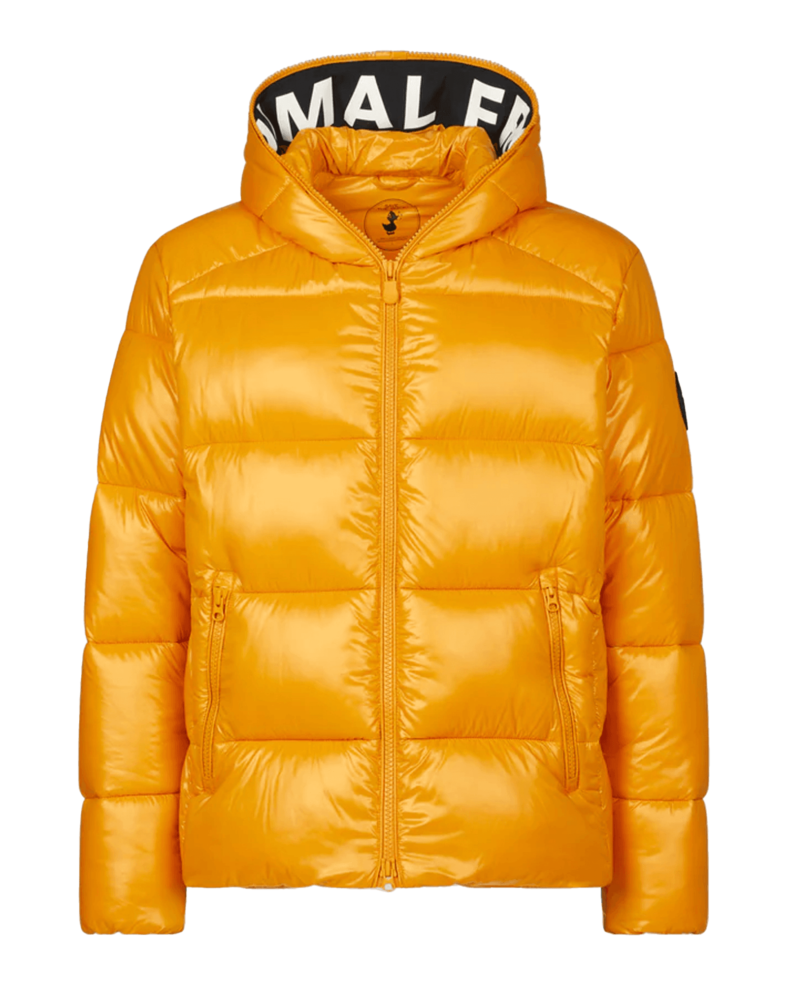Beak Yellow