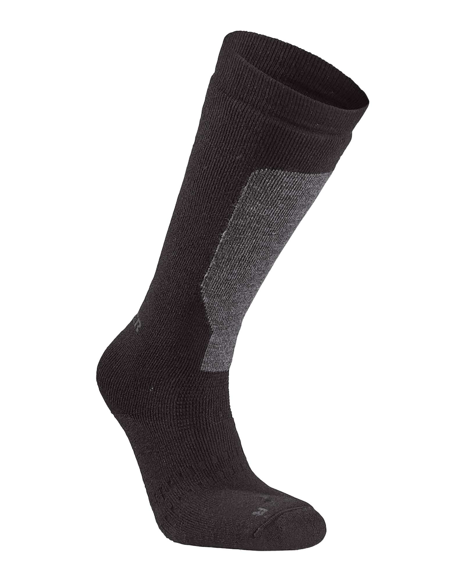 Alpine Plus Protection Black