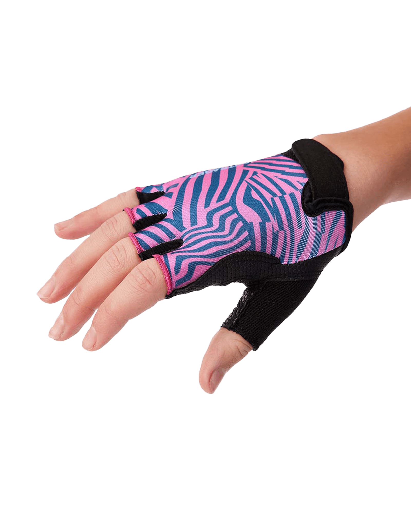 Pink/Purple