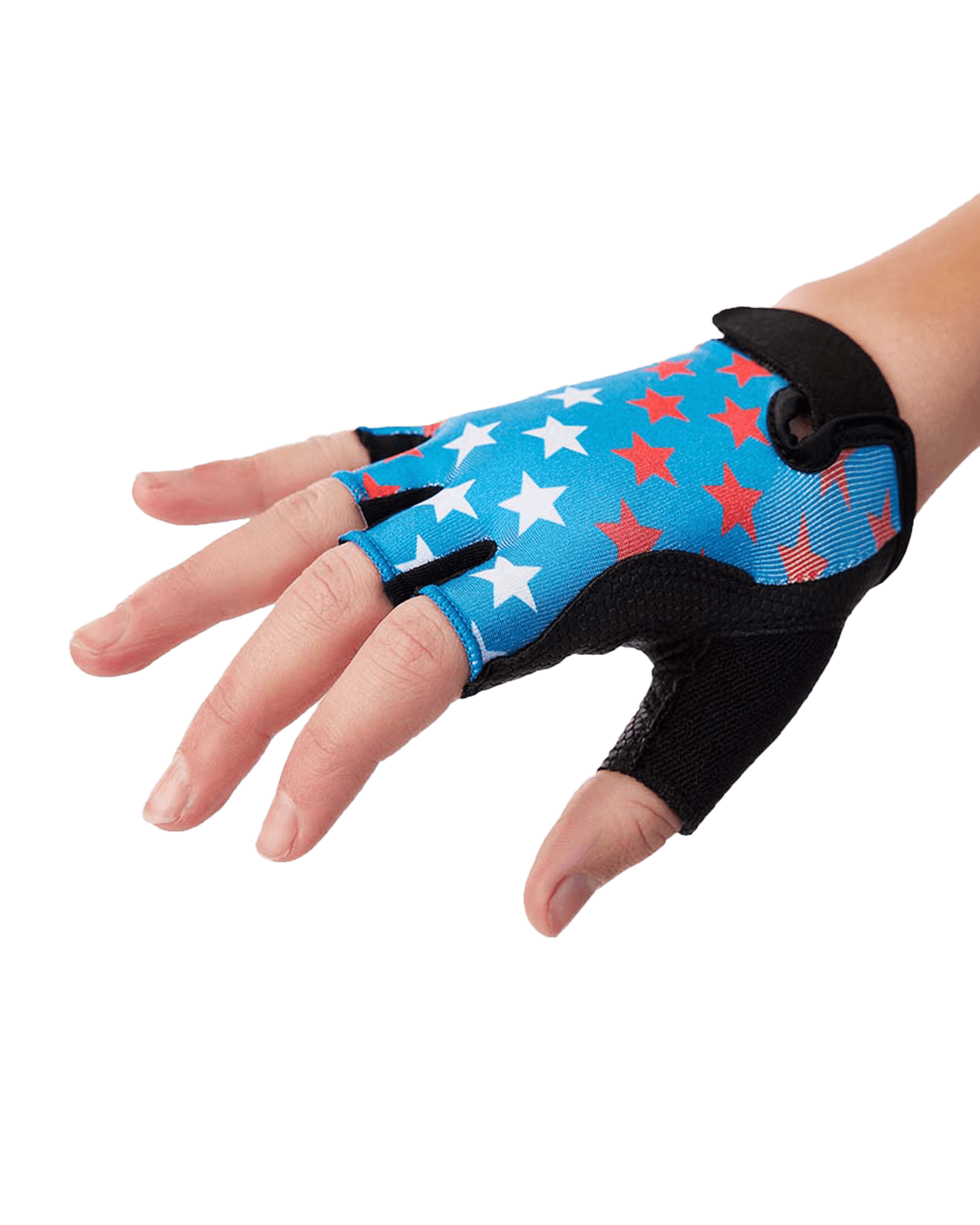 Blue/Black