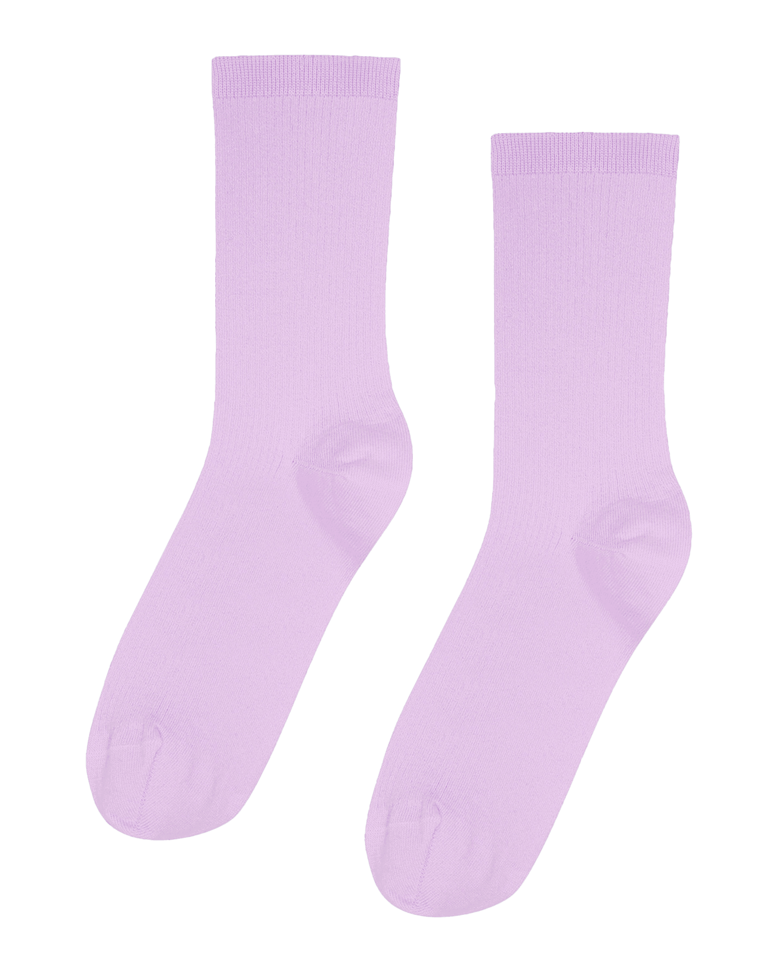 Soft Lavender