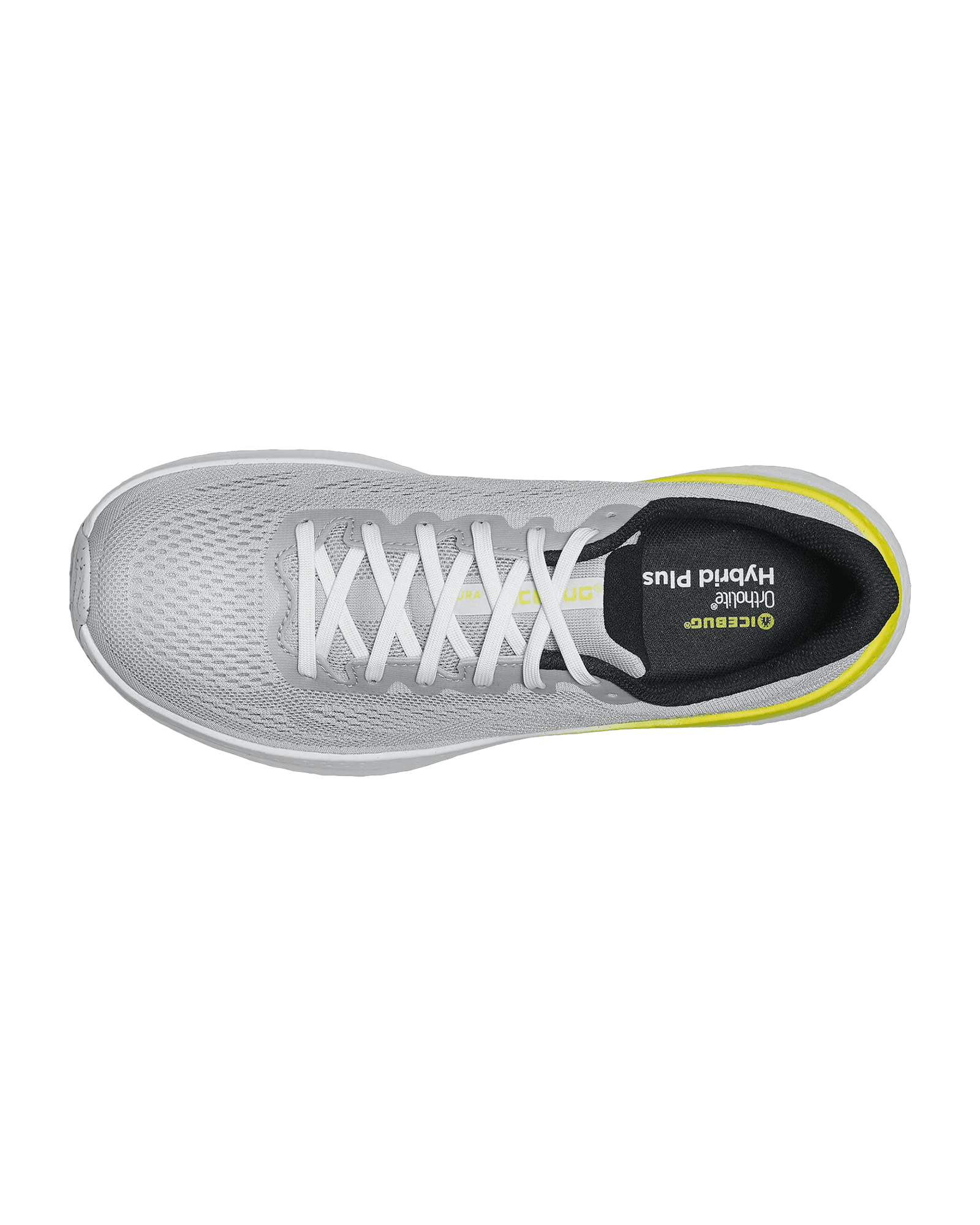 LightGrey/Lime
