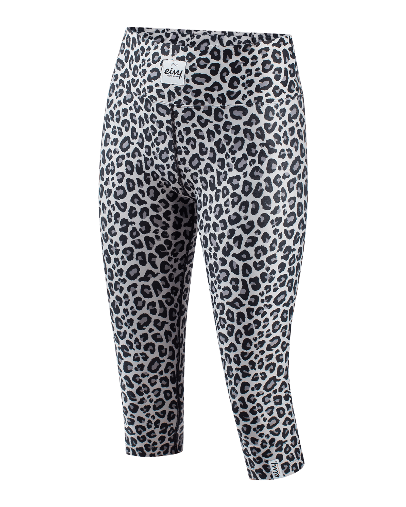 Snow Leopard