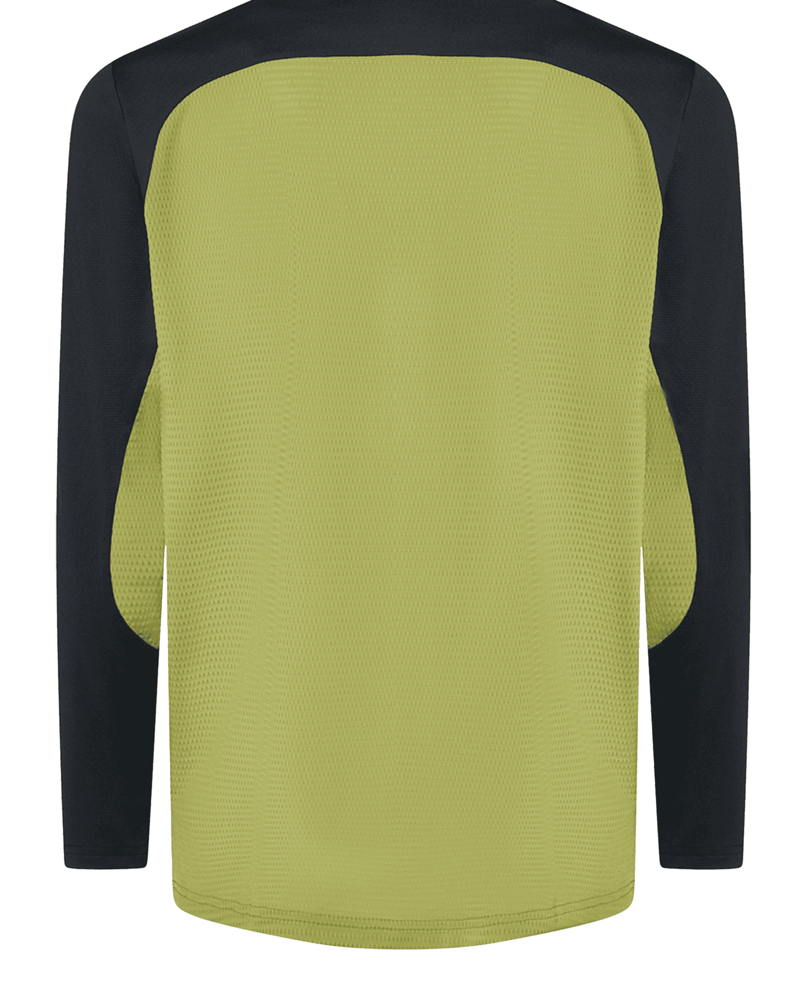 Fern