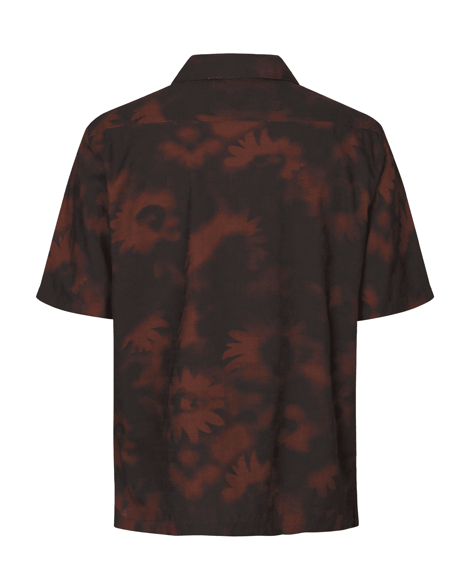 Volcanic Ash