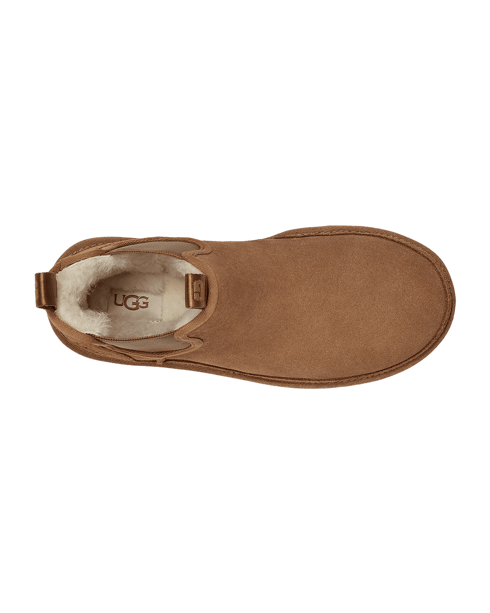 Chestnut