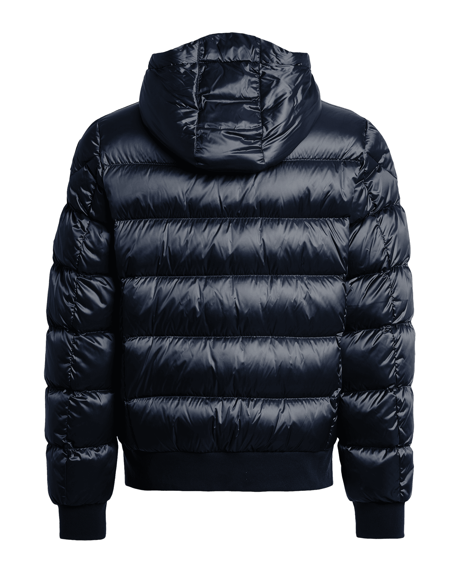 Blue Navy