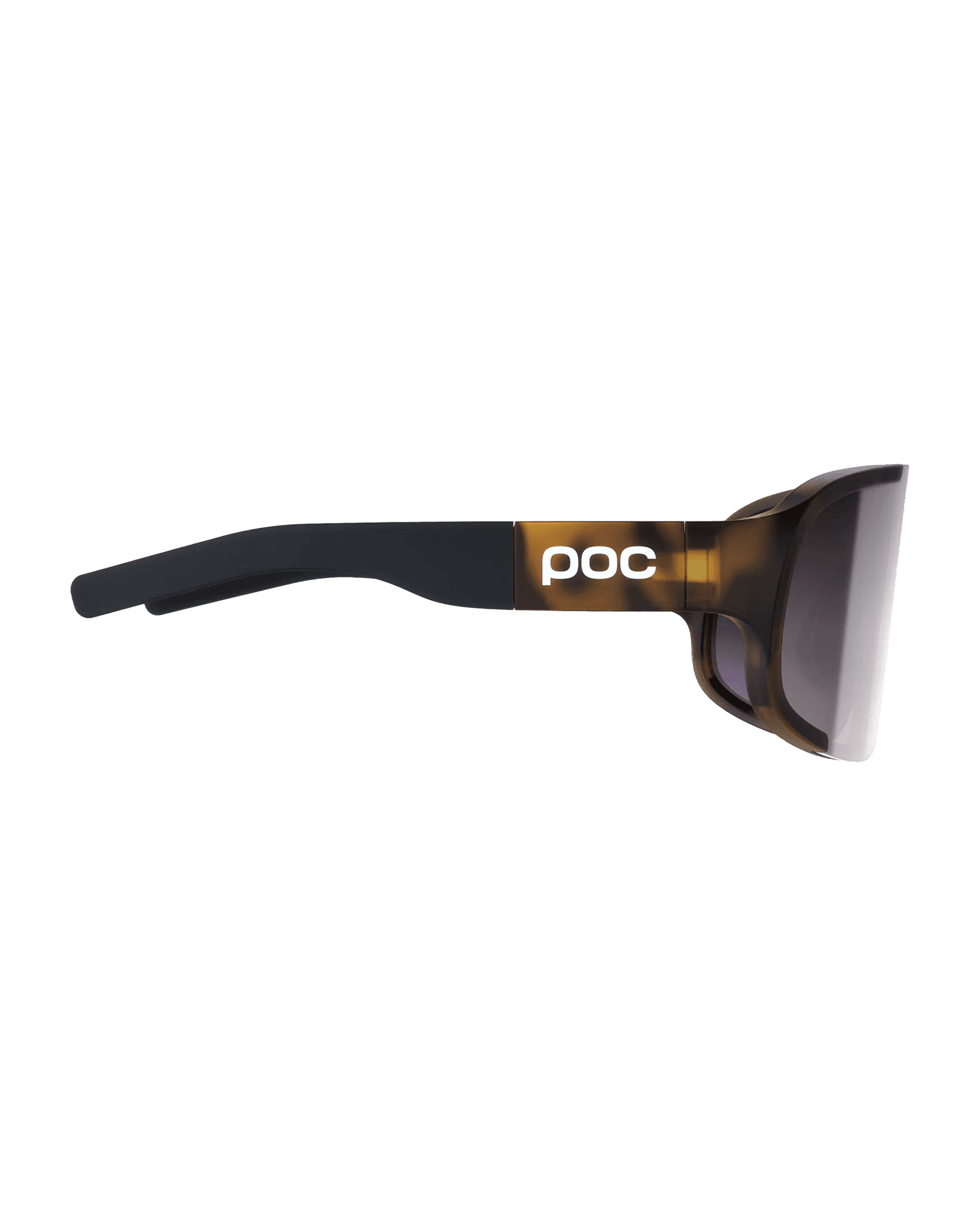 Tortoise Brown/Clarity Road/Sunny Silver