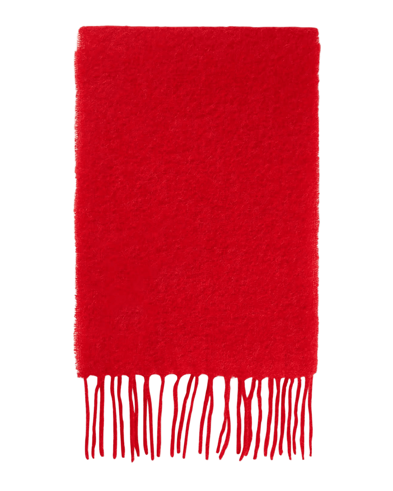 Scarlet Sage
