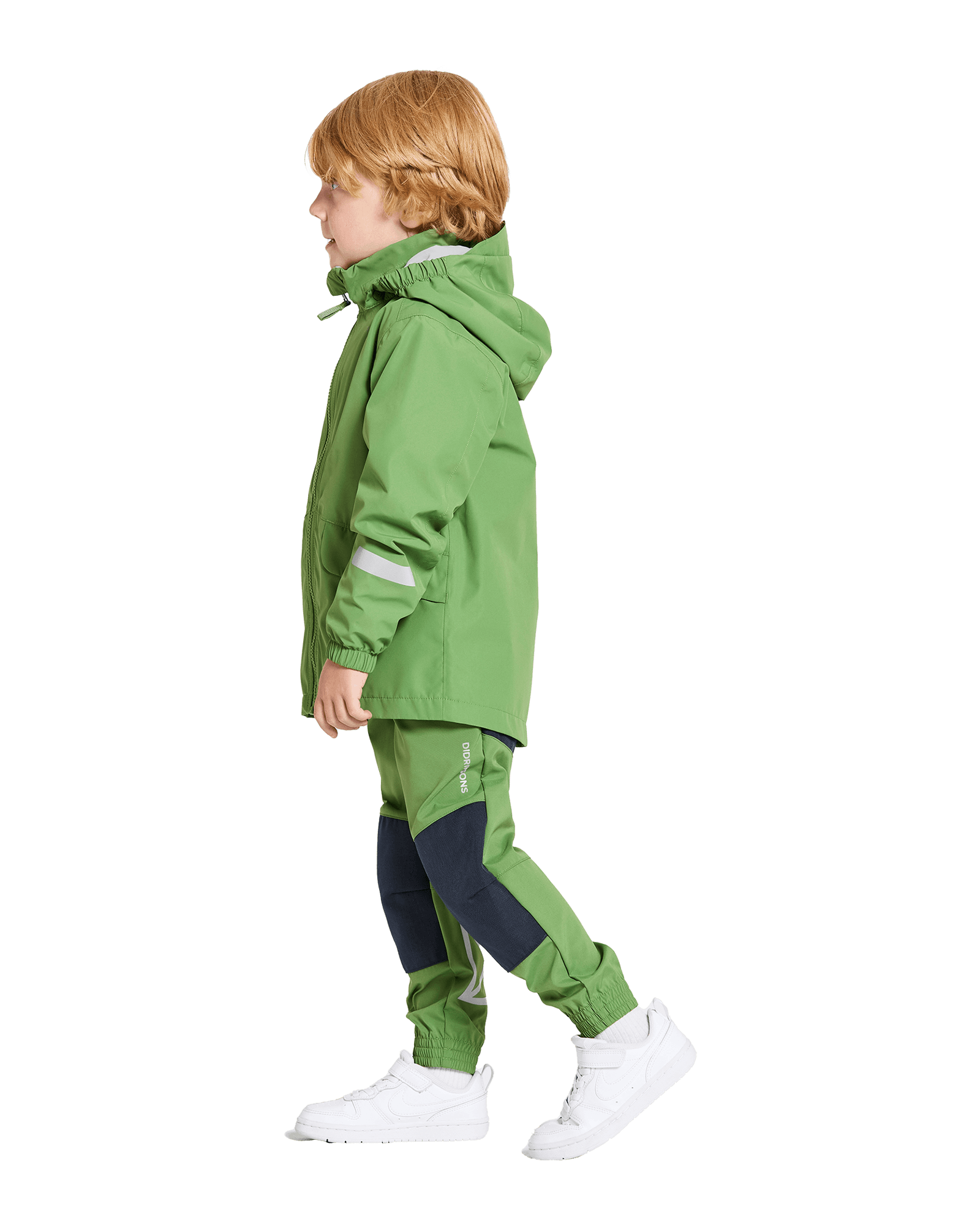 Algae Green