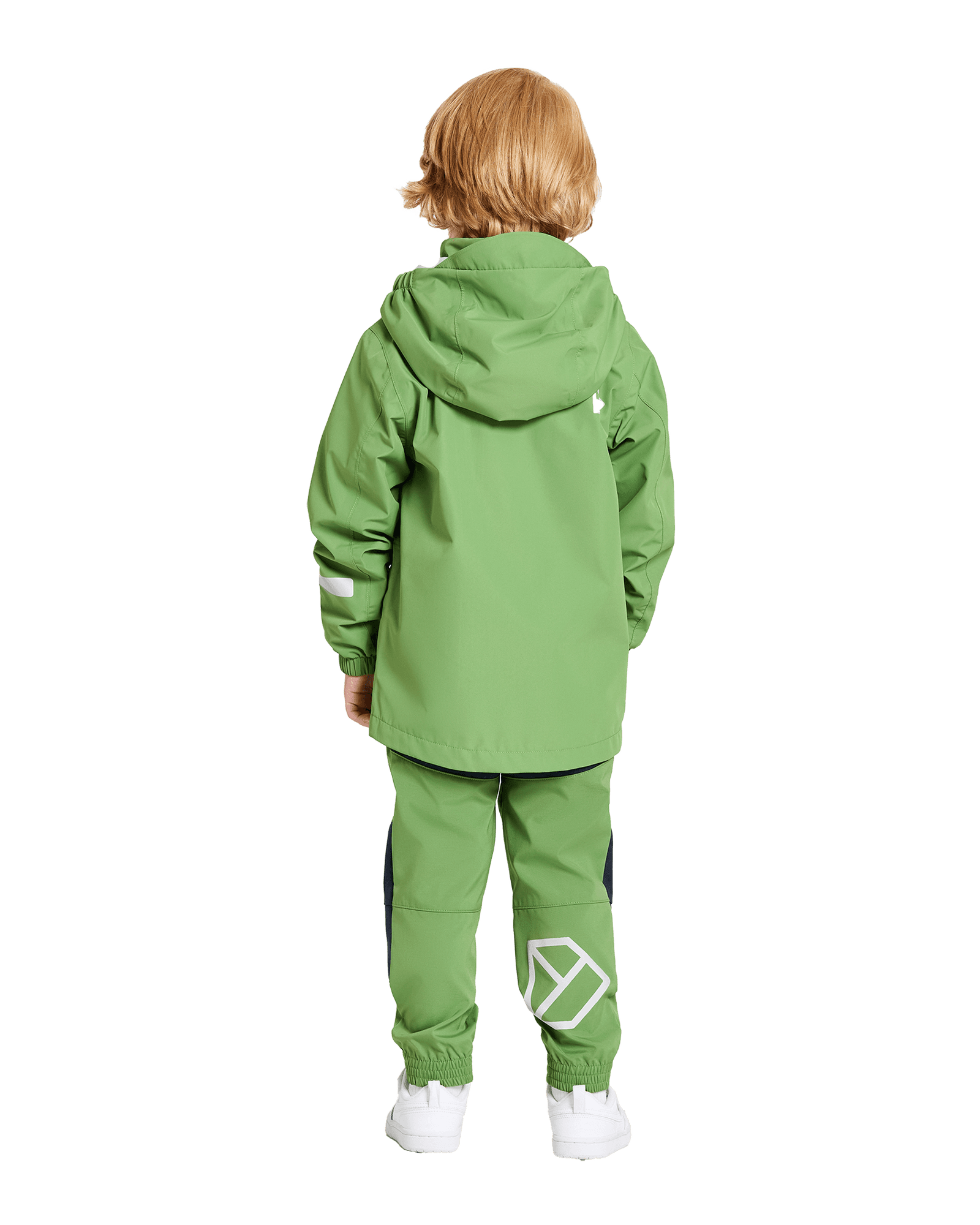 Algae Green