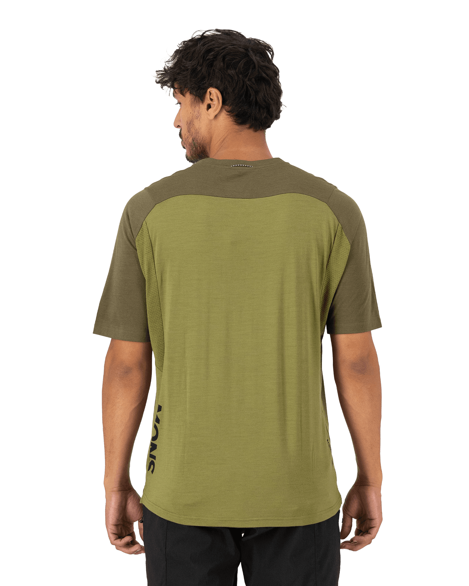 Fern/Olive