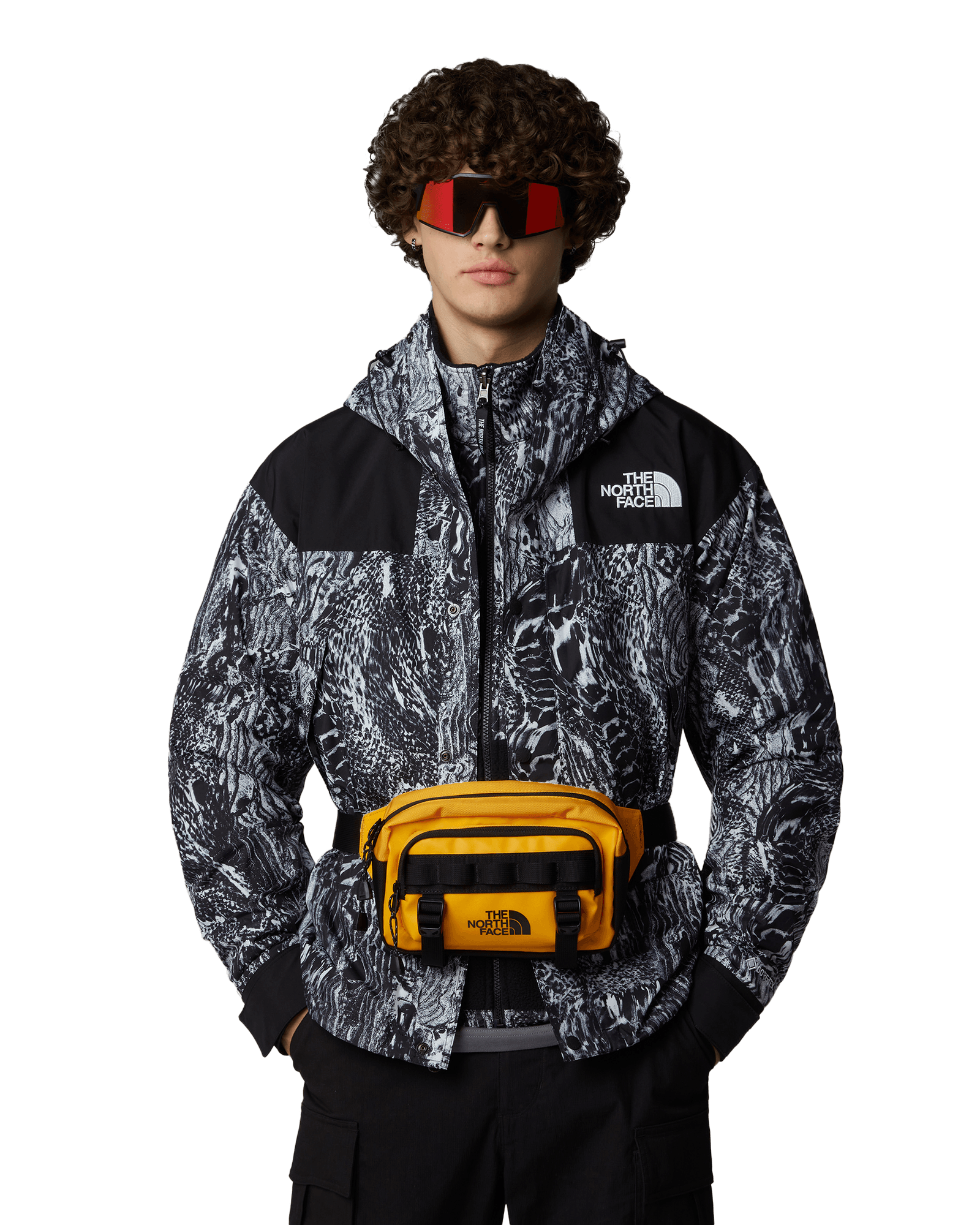 Base Camp Lumbar Summit Gold/TNF Black