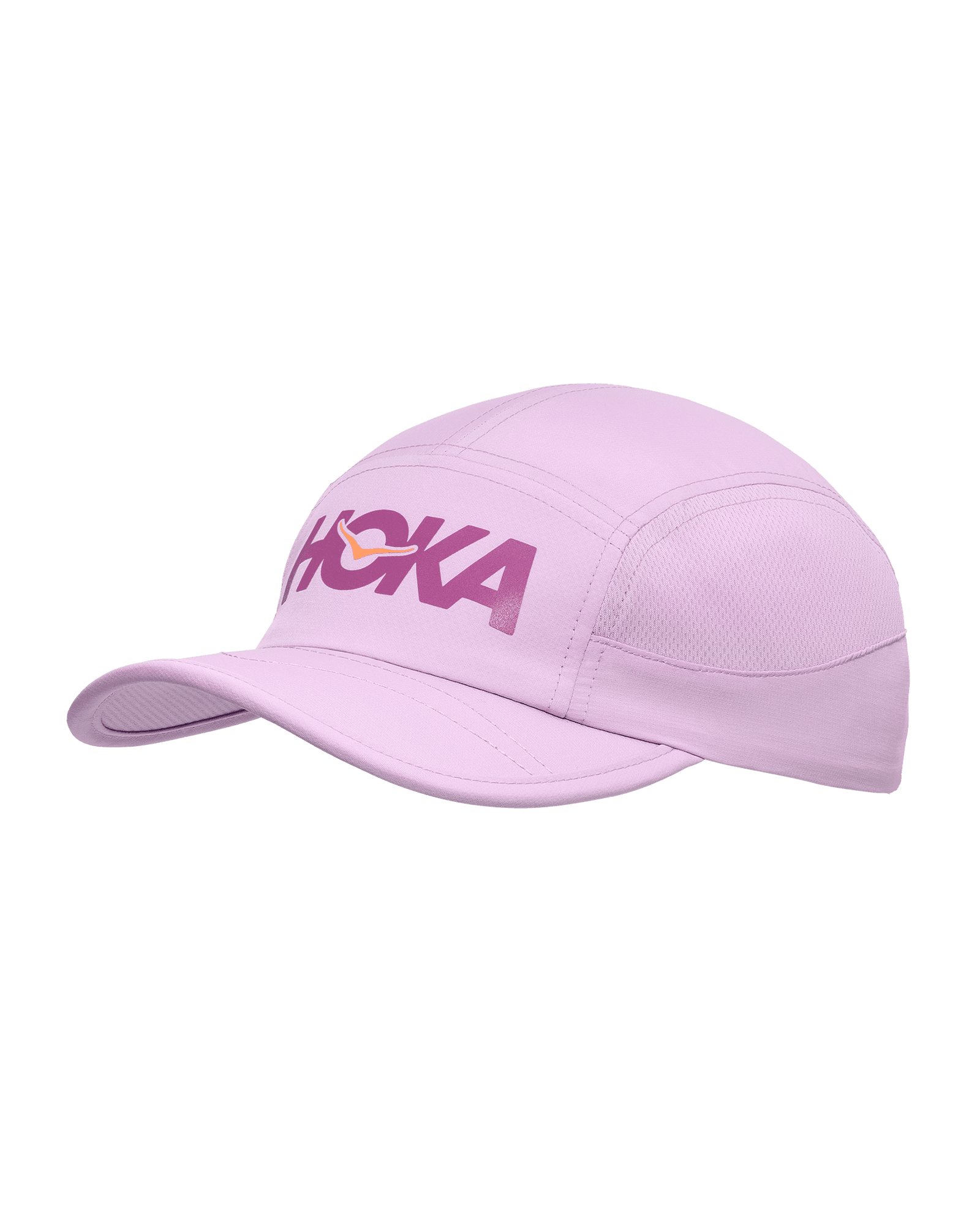 Hat Aster Flower