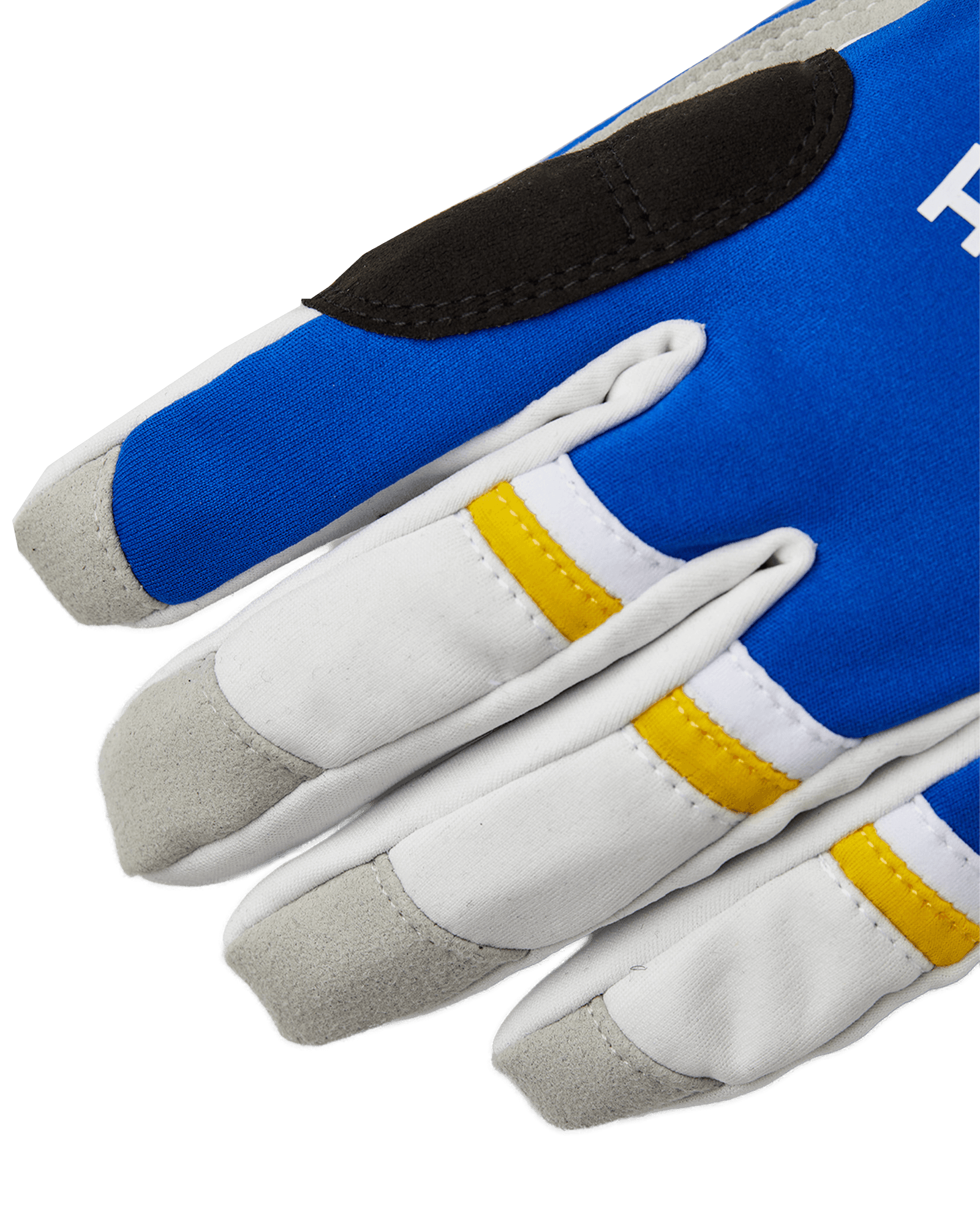 Royal/Yellow