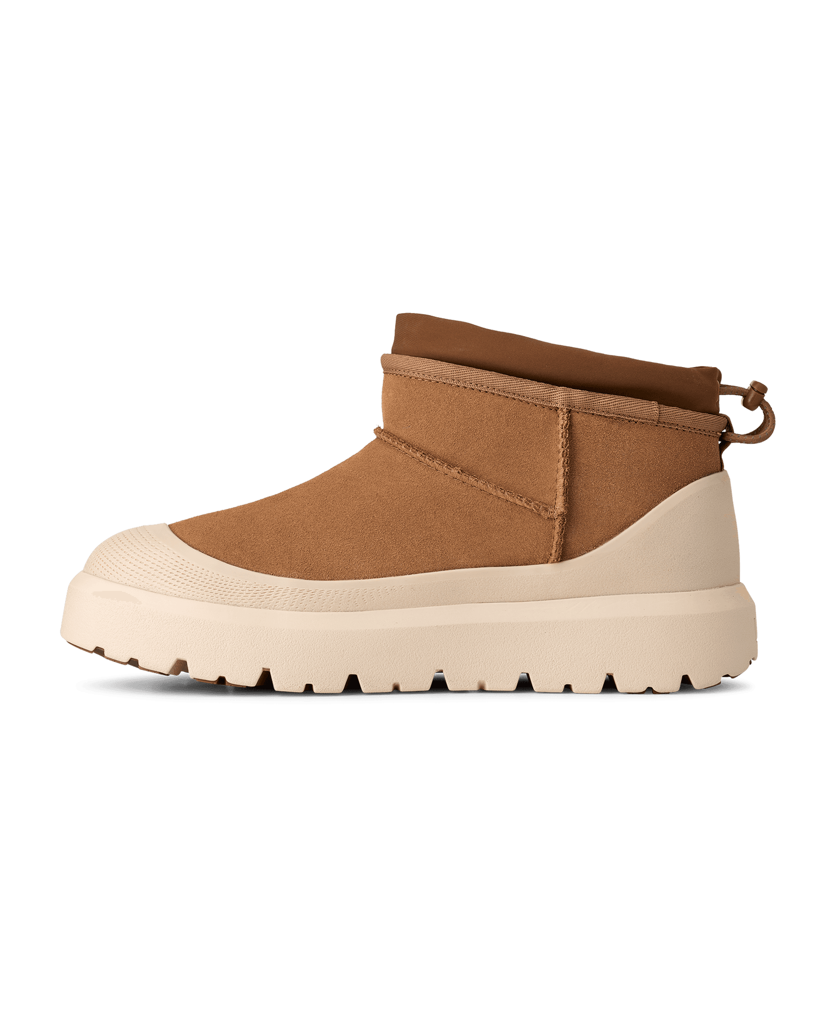 Chestnut / Whitecap