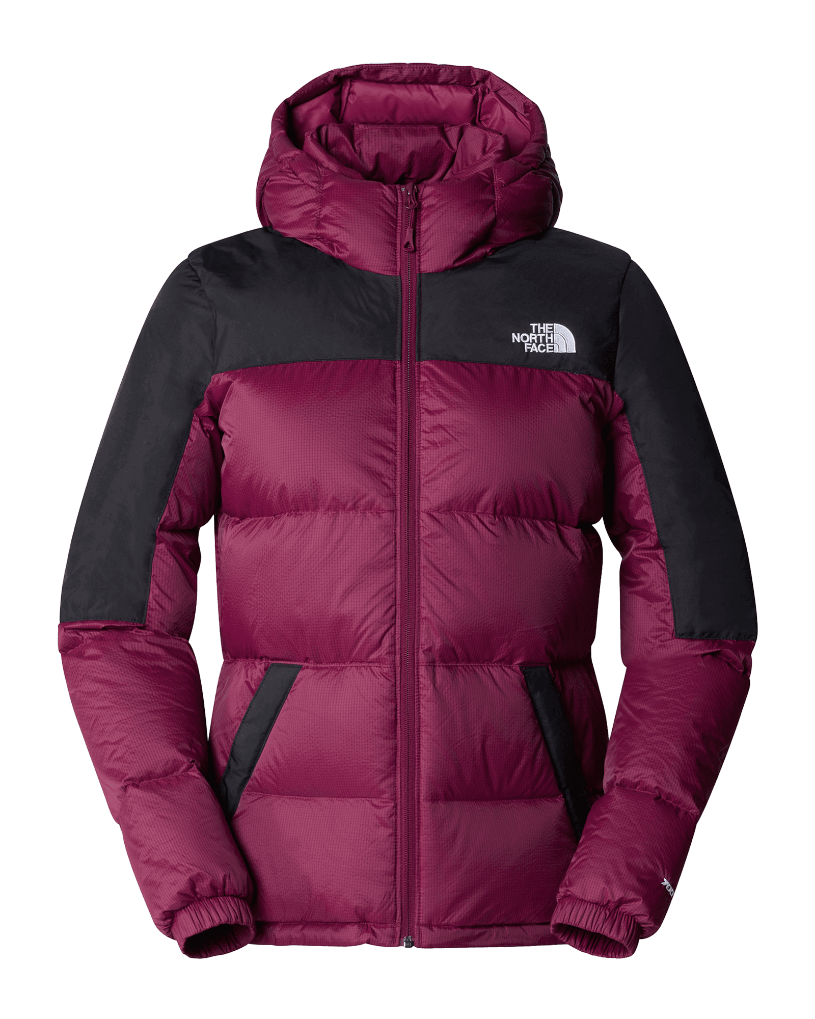 Boysenberry/TNF Black