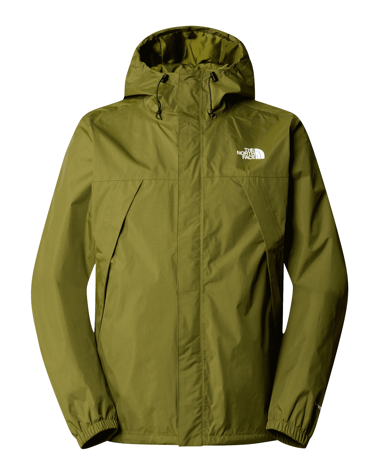 Forest Olive